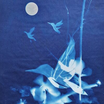 Cyanotype by Jayne