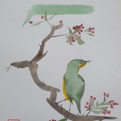 Ink & watercolour by Grace
