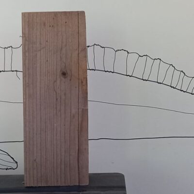 Lance Fish  Wire Sculpture