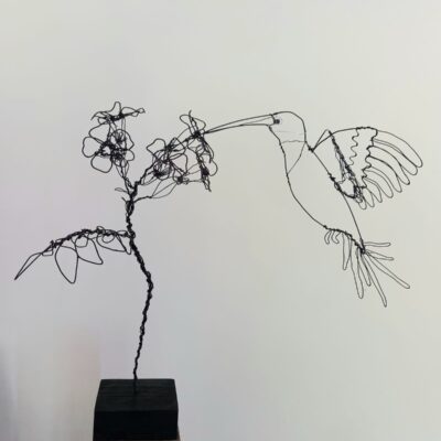Humming Bird     Wire Sculpture