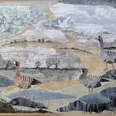 A2 Whitefronted geese, inspired by my visit to Slimbridge where I had an exhibition. Mixed media.