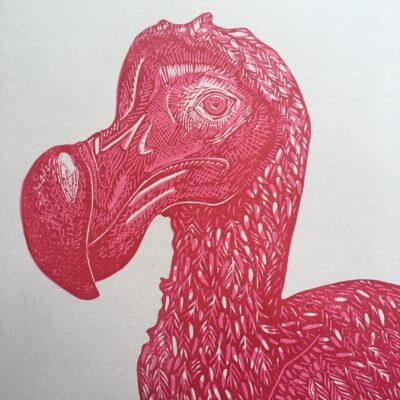 Detail from Dodo - limited edition two layer original linocut print