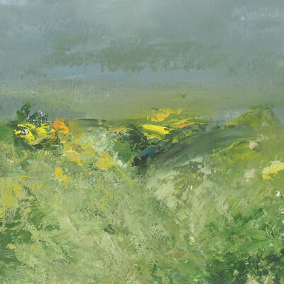 Cliff Gorse,Oils, 28cm x 23cm (not for sale)