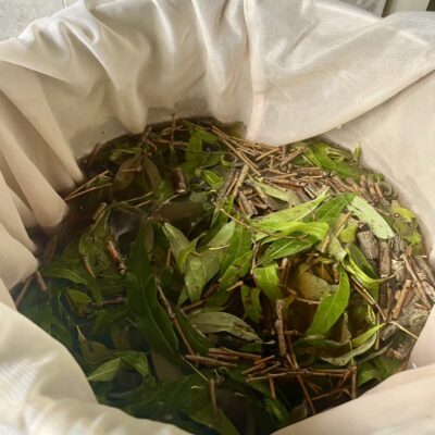 The Natural Shakespeare Gift Company Extracting the colour from willow leaves and bark