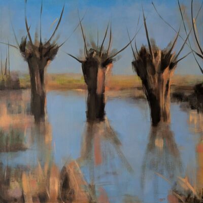 Flood Waters, Stratford upn Avon