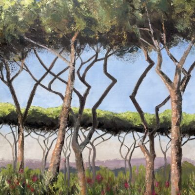 View from a petrol station just north of Rome