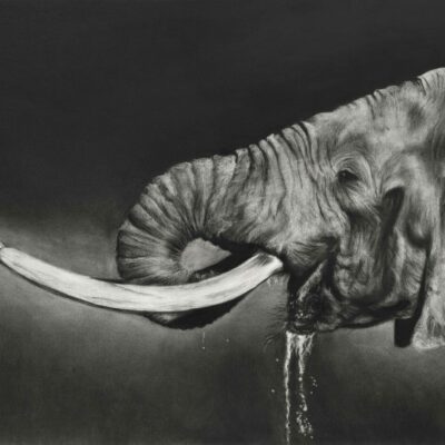 [frm-field-value field_id=1049 entry=36769] 