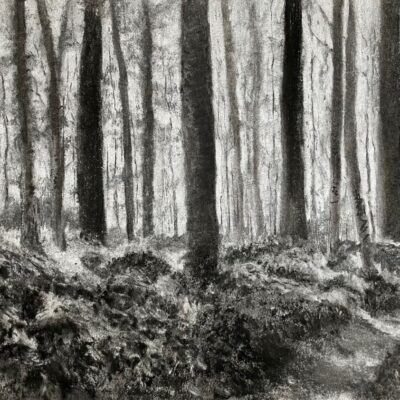 'Hidden Path' charcoal on paper, available to view and purchase at Venue 26, or contact sweetlimeart@gmail.com