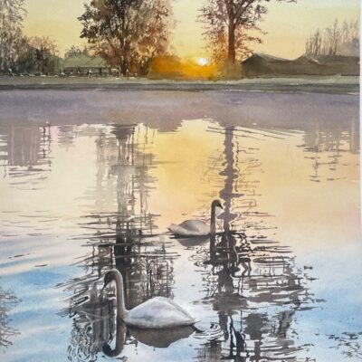  ‘Swans at Sunrise’ Watercolour 36x51cm