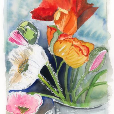  Poppies 1