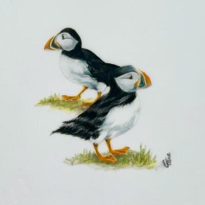 'I've got your back!' - coloured pencil on drafting film
