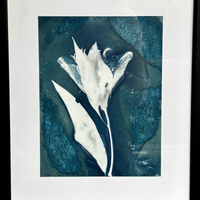  Cyanotype