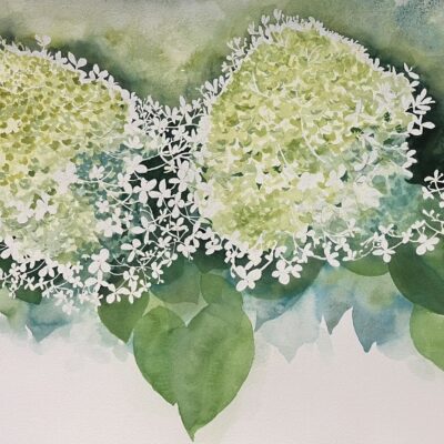 Lime Fizz - original watercolour painting.