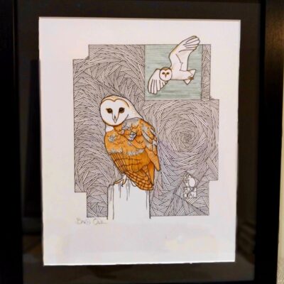  Barn Owl - Pen and Graphic Marker