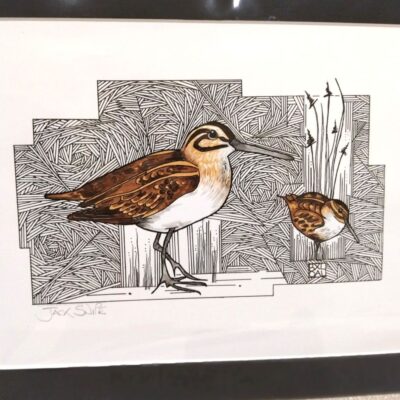 Jack Snipe - Pen and Graphic Marker