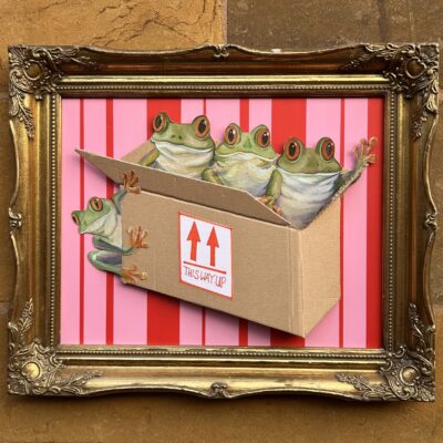 Mad as a box of frogs