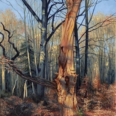  Old Tree in Swinley Forest 2020 by Yana Kucheeva. Oils on Canvas
