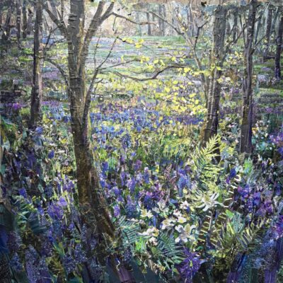 Bluebells at Dawn