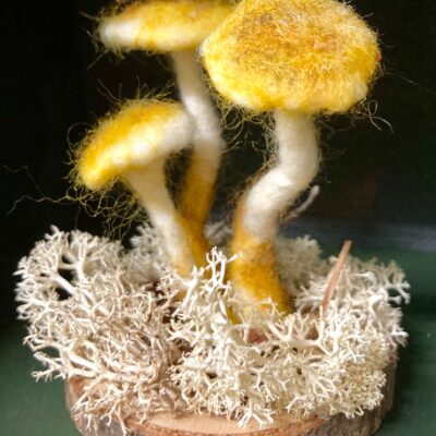 Felted fungi displays