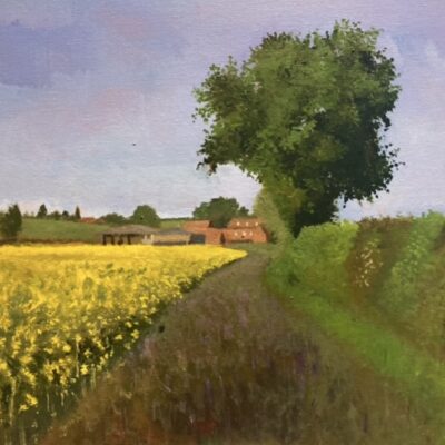 Rapeseed field in Newbold Comyn