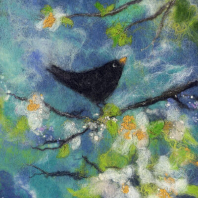 Blackbird in the apple blossom. Available as a framed print, card and coaster.
