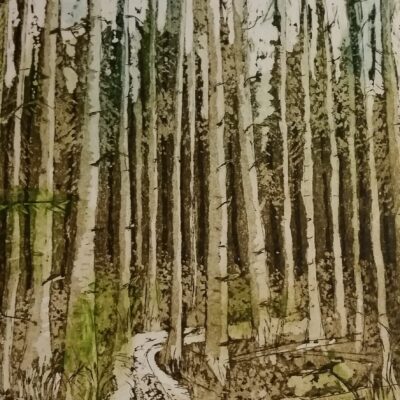 Forest Trail, one of my favorites, hand-tinted or purist in black and white.