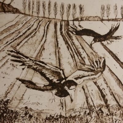Crows on a Wintry day, a slightly menacing feel to these birds.