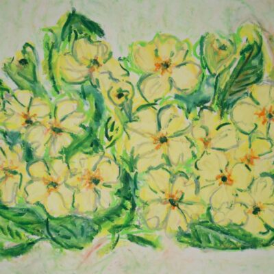Primroses, oil pastel on paper