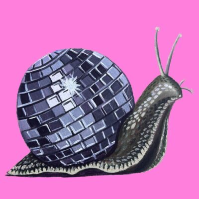  Sharon the disco snail