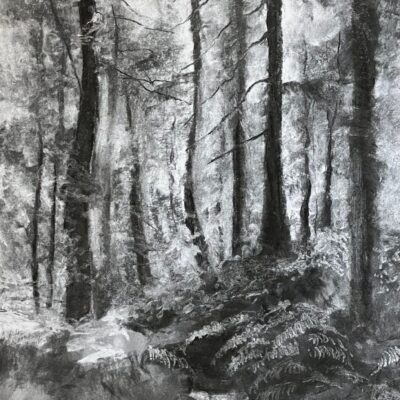 'Pinewood Path and Ferns' charcoal on paper, available to view and purchase at Venue 26, or contact sweetlimeart@gmail.com