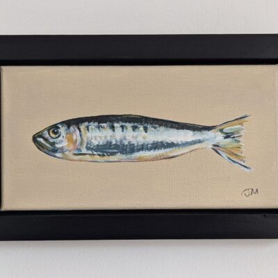 Sardine
