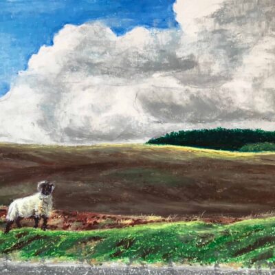 Sheep on the Bank; £275; 43x29cm; oil pastel