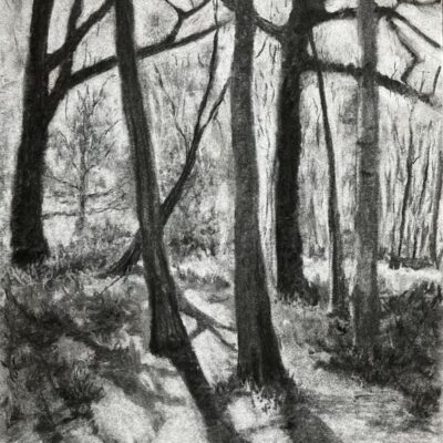 'Spring Sun' charcoal on paper, available to view and purchase at Venue 26, or contact sweetlimeart@gmail.com