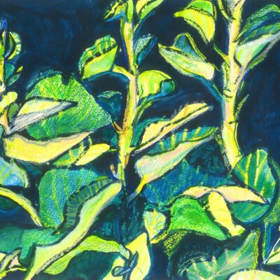 Stella's Garden? mixed media painting