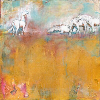 Total Transformation- Connection between the horses is for life.