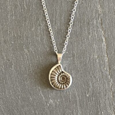 Sterling silver and ammonite fossil necklace