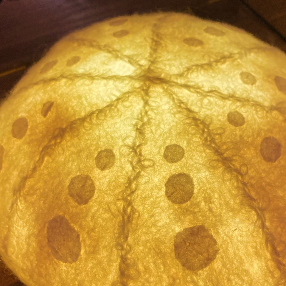 Illuminated Urchin light
