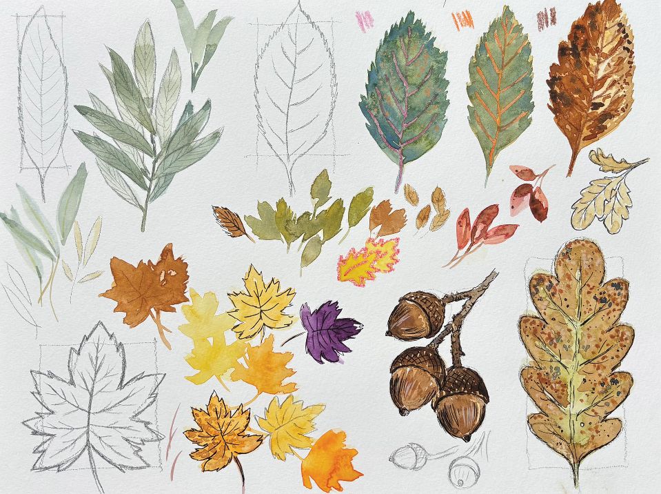 Carl March Watercolour Autumn Leaves Workshop