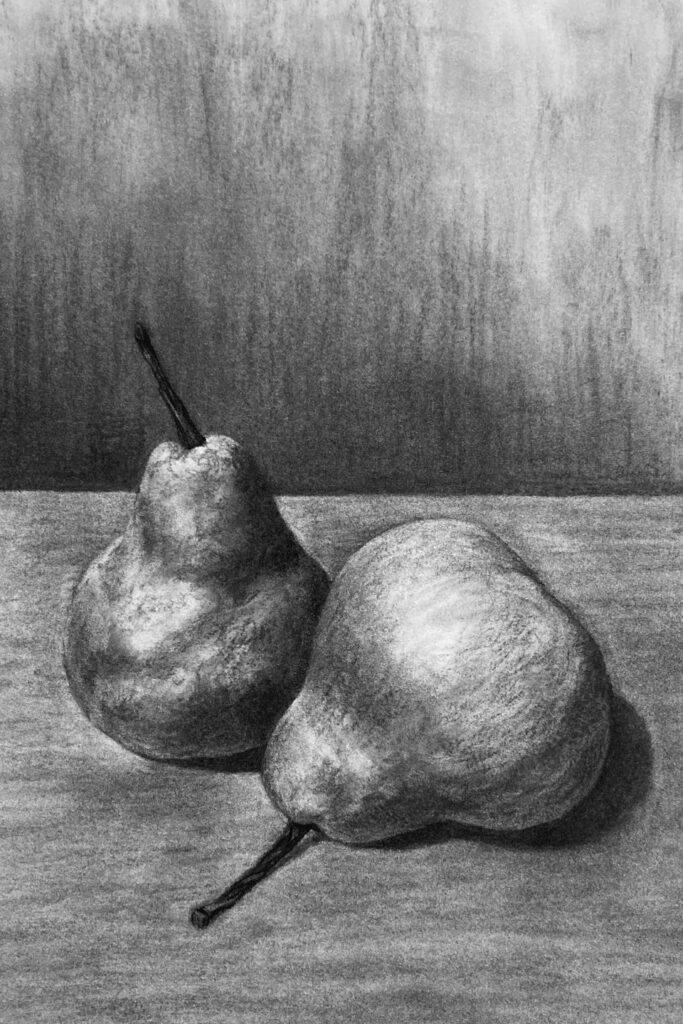 Still Life Drawing in Charcoal