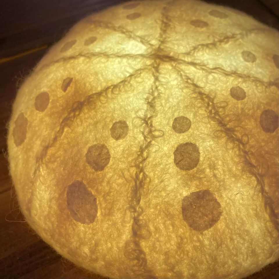 Illuminated Urchin light